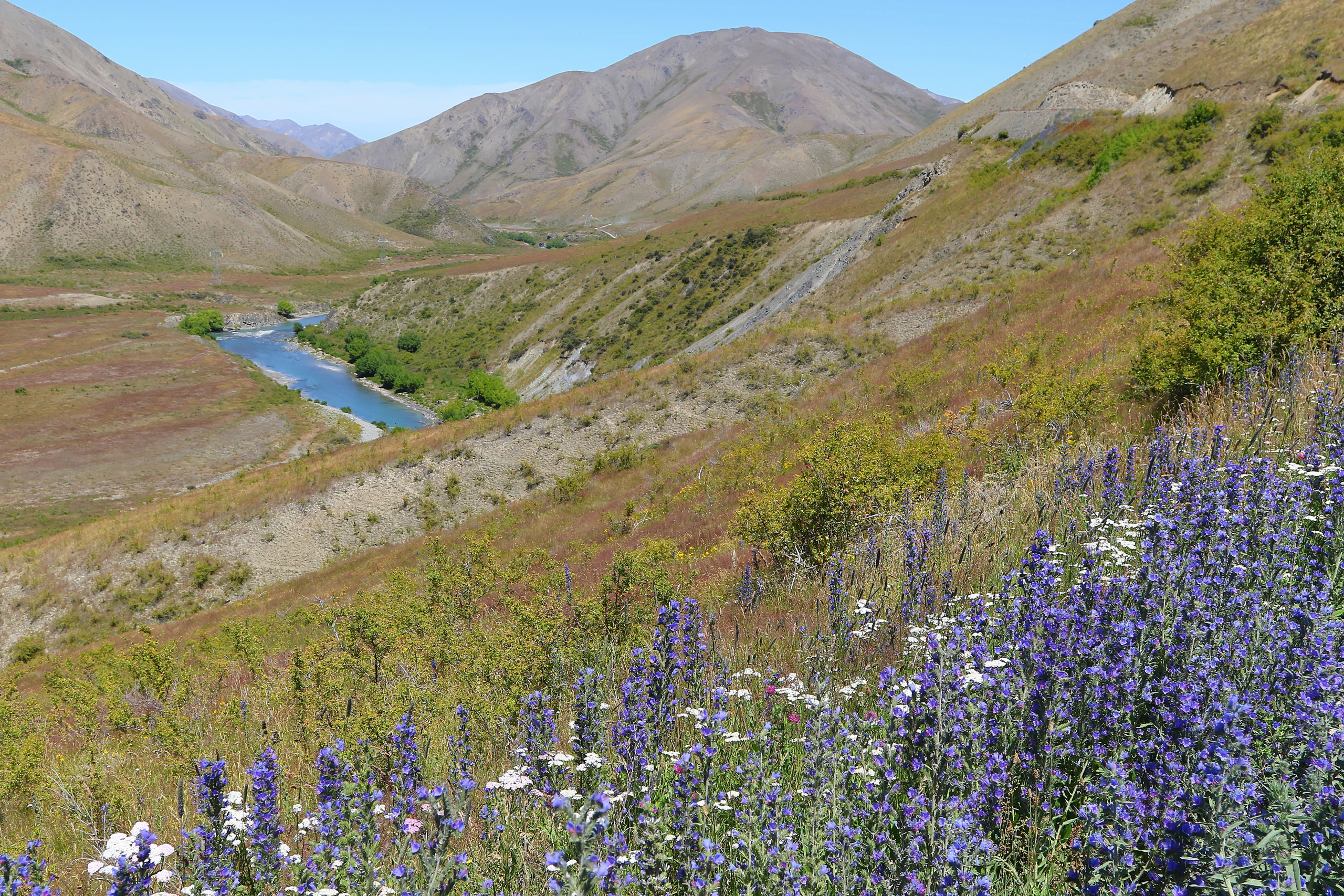 molesworth station tours blenheim